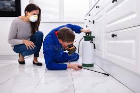 Best Pest Exclusion Services  in Homestead Valley, CA